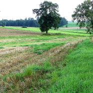 Blick auf Felder