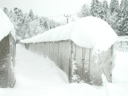 Schnee auf einem Gewächshaus