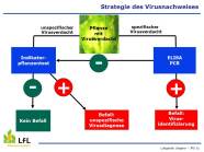 Der Virusnachweis erfolgt in mehreren Stufen, serologische, molekurbiolgosche und biologische Verfahren werden dabei kombiniert.achweis