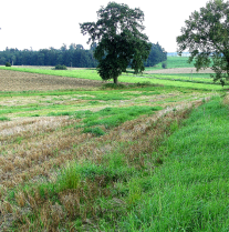 Blick auf Felder