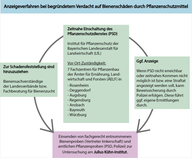 Schaubild