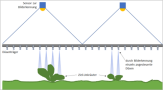 Schematische Zeichnung des Funktionsprinzips einer Sensorspritze zur Einzelpflanzenbehandlung im Grünland.