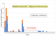 Grafik: Beginn und Verlauf des Maikäferschlupfes aus dem Erdreich