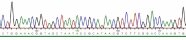 Ausschnitt aus einem Elektropherogramm als Ergebnis einer Sequenzierreaktion. Die Basensequenzen der DNA können zur genauen Identifizierung bakterieller Schaderreger verwendet werden (kurz: DNA-Sequenz zur Schaderregeridentifizierung)