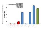 2013 wurden verschiedene Viren in den Monitoringproben nachgewiesen: HpMV dominierte, aber auch AHpLV und ApMV sind weit verbreitet.