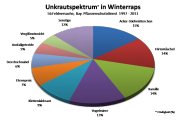 Tortendiagramm