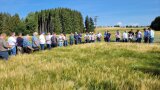 Besuchergruppe vor einem Sommergerstenfeld.