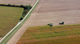 Drohnenaufnahme von der Silomaisernte auf einem Versuchsfeld bei Kitzingen: ein Maishäcksler und zwei Silagewägen.