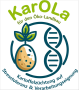 Logo mit Schriftzug KarOLa und stilisierte Kartoffelpflanze