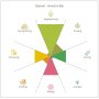 Spinnendiagramm: Aromaprofil im Bier der Hopfensorte "Diamant"