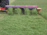 Traktor mit Mähbalken bei der Mahd einer Wiese 