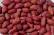 Mehrere Erdnüsse mit roter Schale.