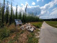 Lesesteinhaufen als Beispiel für "unordentliche" Landschaftselemente vor einem Hopfengarten.