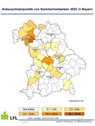 Karte von Bayern mit Anbauschwerpunkten von Sommerhartweizen Ernte 2023			