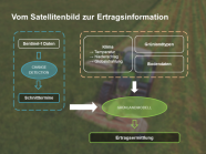 Arbeitsschritte zur Gewinnung von Schnitt- und Ertragsdaten aus Satellitenbildern