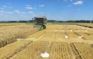 Mähdrescher auf dem Versuchsfeld bei der Ernte der einzelnen Parzellen.