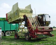 Mählader Schiele beim Überladen geernteter Pflanzen