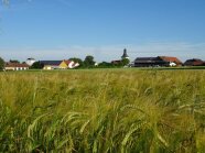 grüner Sommergerstenbestand vor Dorfkulisse