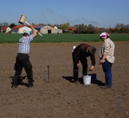 Bodenprobenahme im Daueranbauversuch von Bt-Mais