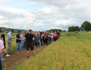 Menschengruppe auf dem Lupinenfeld