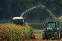 Reifes Maisfeld mit Traktor und Maishäcksler sowie Traktor mit gehäckseltem Mais auf Hänger