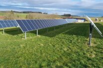 Photovoltaikmodule auf Ständern auf Grünland