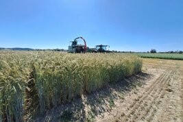 GPS Getreide Frankendorf