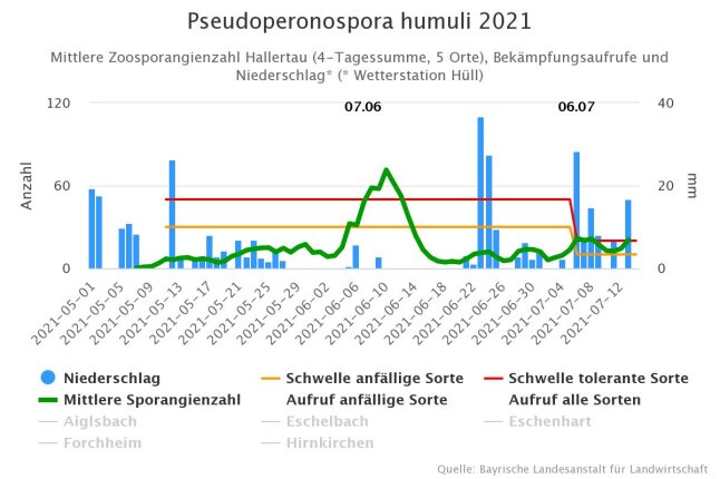 grafische Darstellung zur Anzahl der Zoosporangien