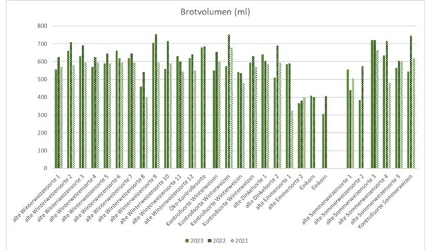 Grafik mit Vergleich der neuen und alten Getreidesorten in Bezug auf das Brotvolumen