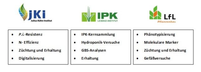 Arbeitsschwerpunkte der Projektpartner