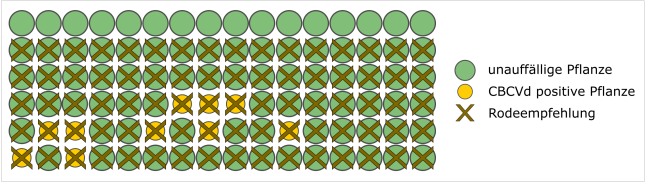 Rodeempfehlung Fall 3