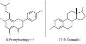 8-Prenylnaringenin und 17-ß-Östradiol