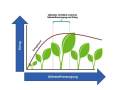 Grafik: Optimales Verhältnis Nährstoffversorgung und Ertrag