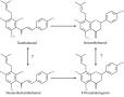 Xanthohumol, Isoxanthohumol, 8-Prenylnaringenin