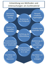 Schaubild mit Kreisen, das die bislang entwickelten Methoden und den durchgeführten Untersuchungen am Zuchtmaterial darstellen