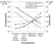 Grafik über die pyhsiologische Entwicklung (Zeit für die Ertragsbildung). 