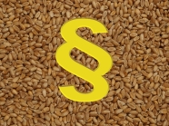 Symbol Paragraph