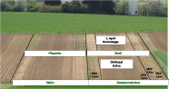 Versuchsfeld mit verschiedenen Zwischenfruchtarten nach der Aussaat