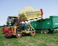 Grünguternter beim Überladen des Ernteguts in den Transporthänger.