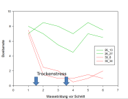 Massebildung vor Schnitt