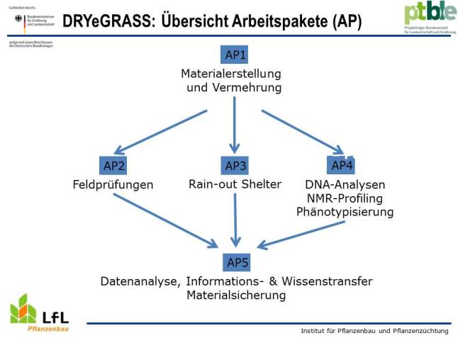 Übersicht der einzelnen Arbeitsschritte im Projekt