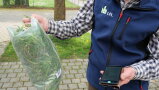 Mann hat Tüte mit Gras in der Hand und ein Smartphone zur Anmeldung der Probe online im Futterlaborportal