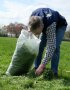 Ein Mann stopft das abgemähte und zusammenrechte Gras in einen Plastiksack.