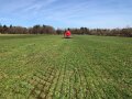 Teilfläche nach der Düngung mit dem Schlitzverfahren
