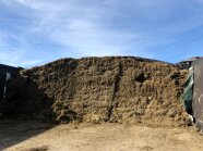 Siloanschnitt eines Fahrsilos mit Grassilage.