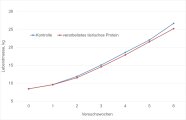 Liniendiagramm, das die Gewichtsentwicklung der Ferkel beider Versuchsgruppen während des Versuchs zeigt.