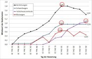 Verlauf von Schwanzbeißen anhand der Parameter Verletzungen, Schwellungen, Blutungen und Teilschwanzverluste bei nicht schwanzkupierten Tieren der Kontrollgruppe