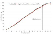 Liniendiagramm, das die Gewichtsentwicklung der Tiere der drei Versuchsgruppen zeigt. 