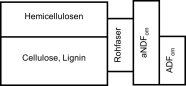 Zusammensetzung der Struktur-Kohlenhydrate