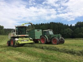 Häcksler, Traktor und Anhänger bei der Grasernte